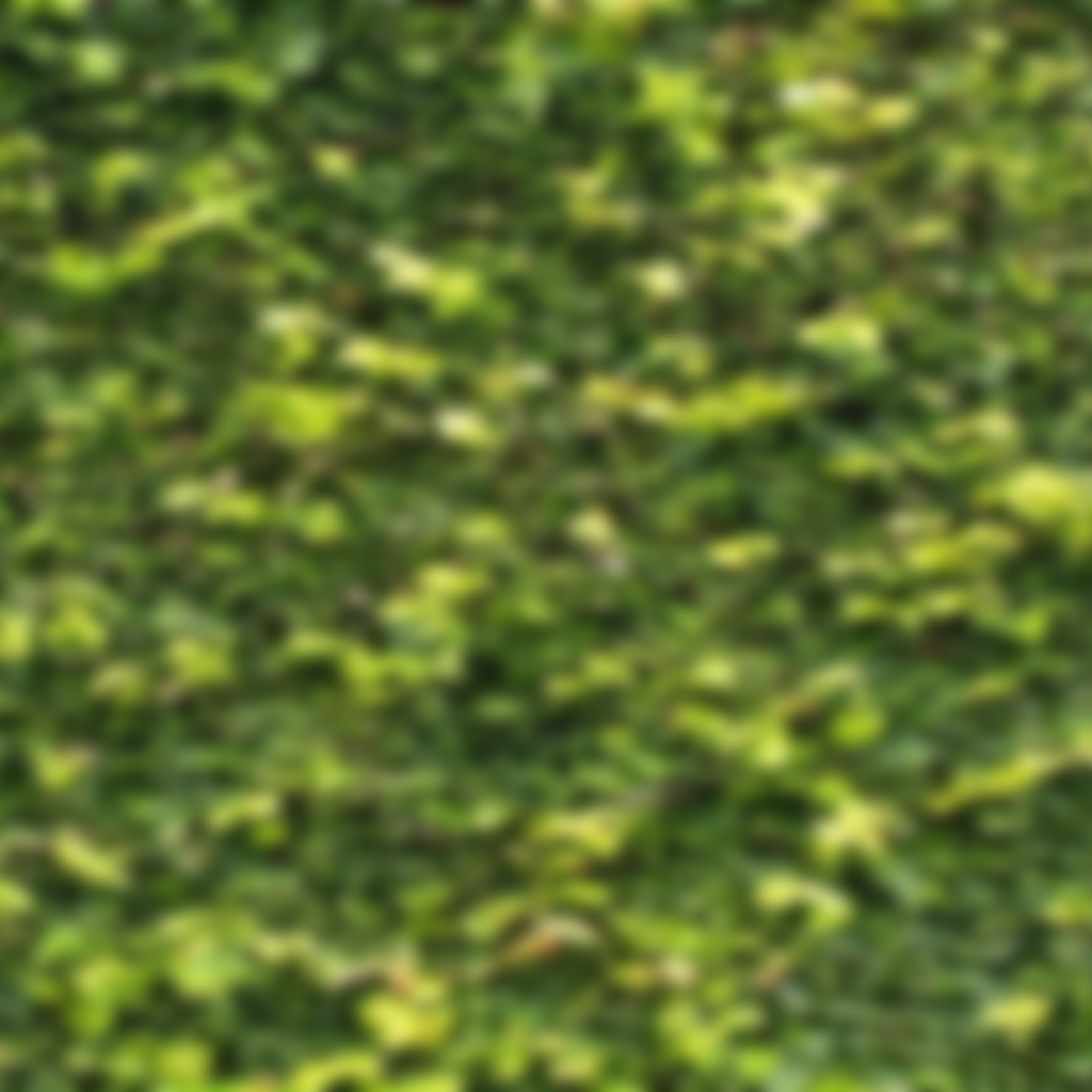 Homeowner's, Home Buyer, and Property Rights